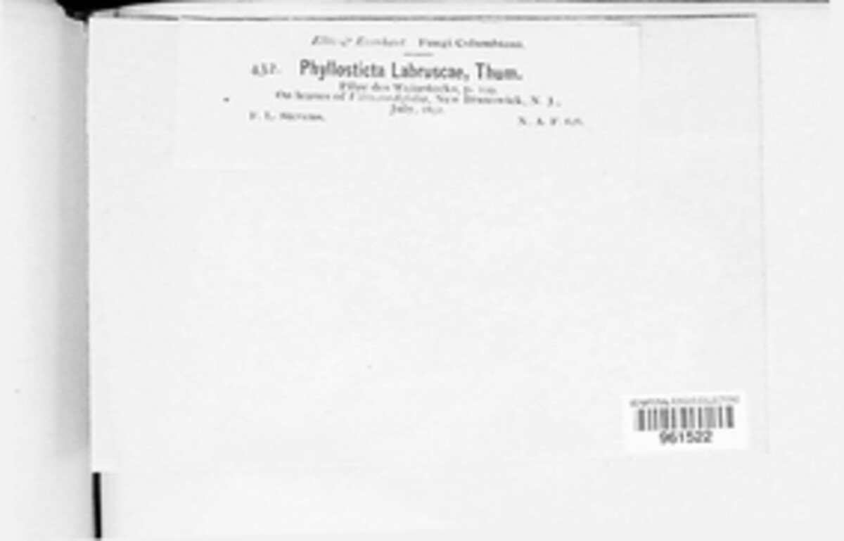 Phyllosticta labruscae image